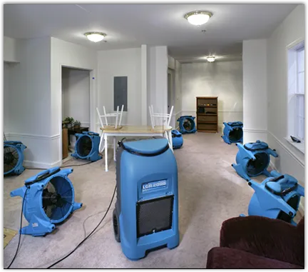 Water Damage Restoration services in Birch Bay, WA