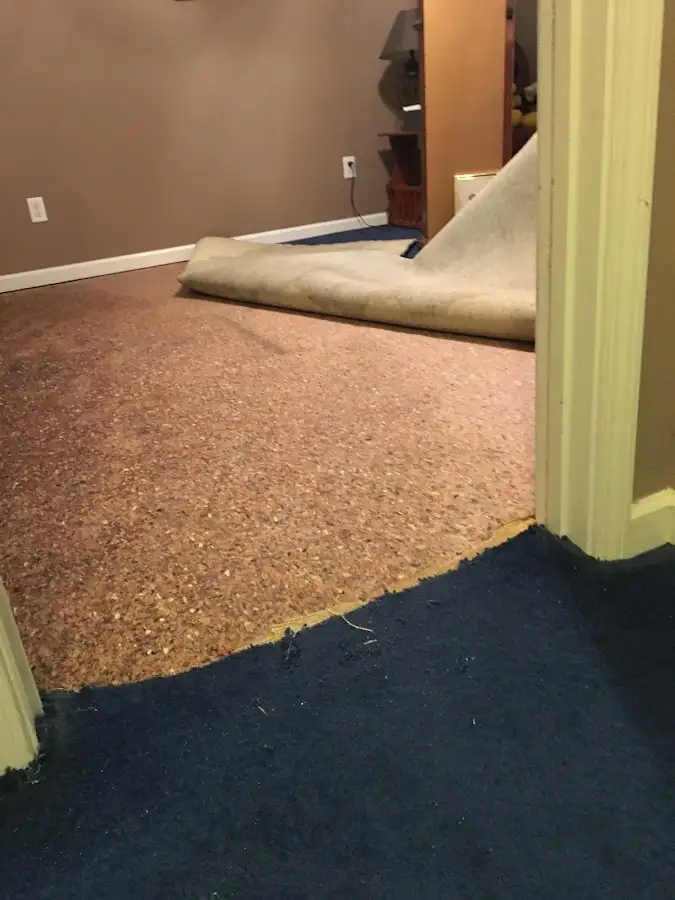 Carpet pad removal revealing water damage during Water Mitigation Services in Birch Bay