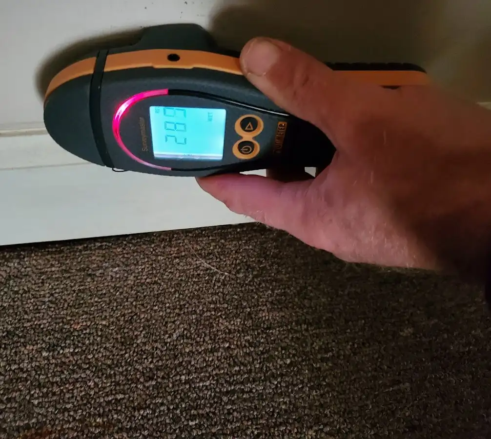 Moisture detection at baseboard during Burst Pipe Cleanup in Birch Bay